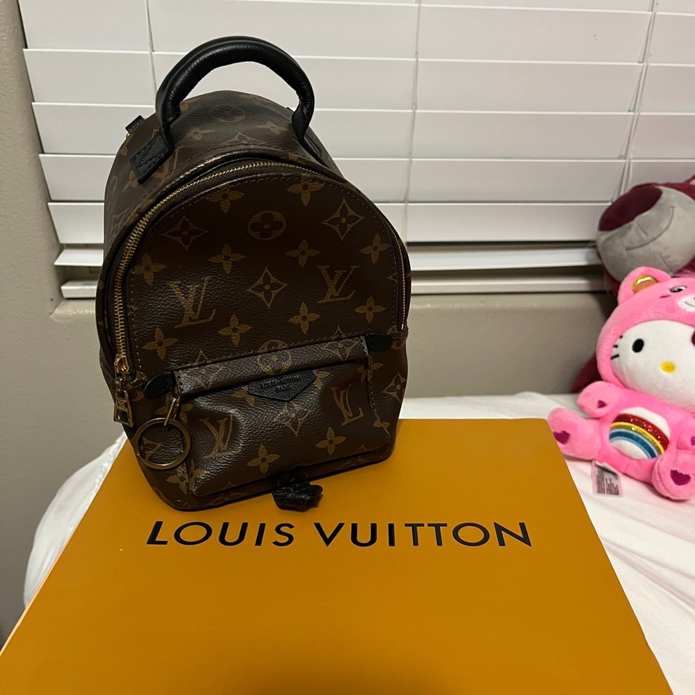 Louis vuitton Palm springs mini backpack